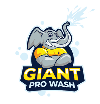 GIANT Pro Wash Logo